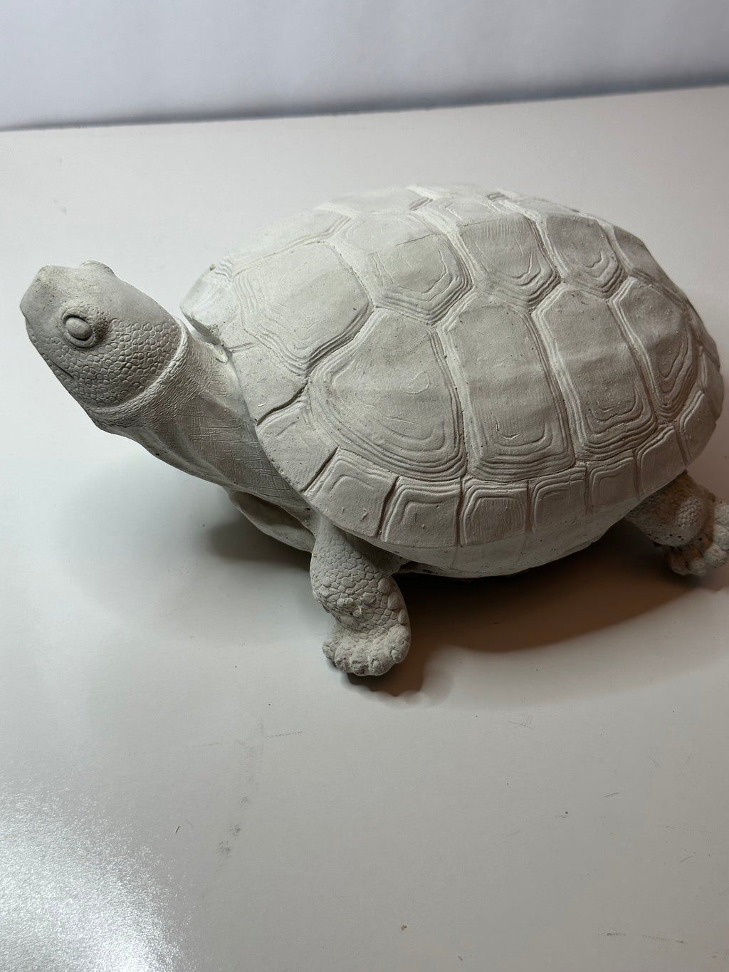 Turtle: Small Statuary Unpainted
