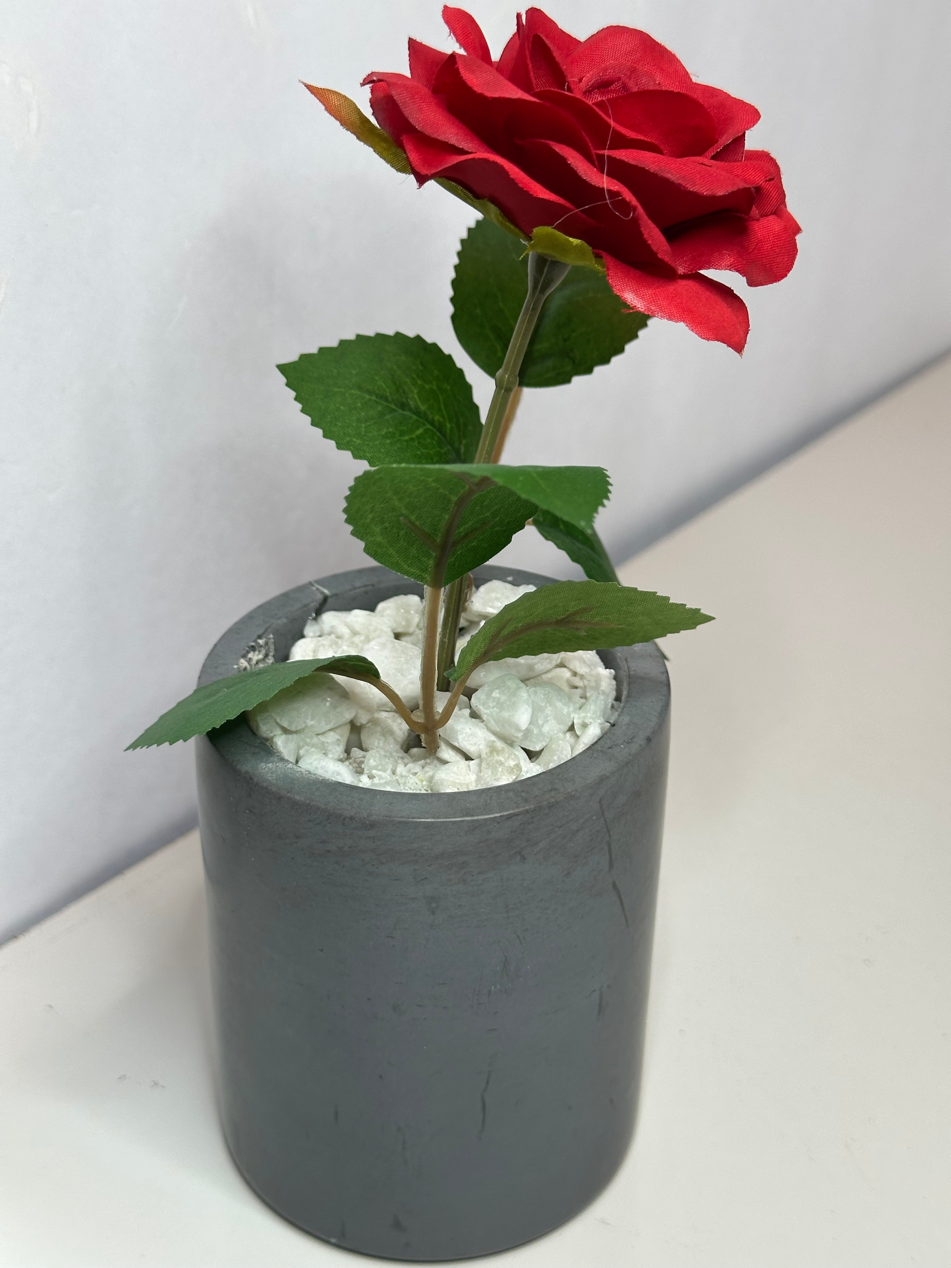 Red Rose