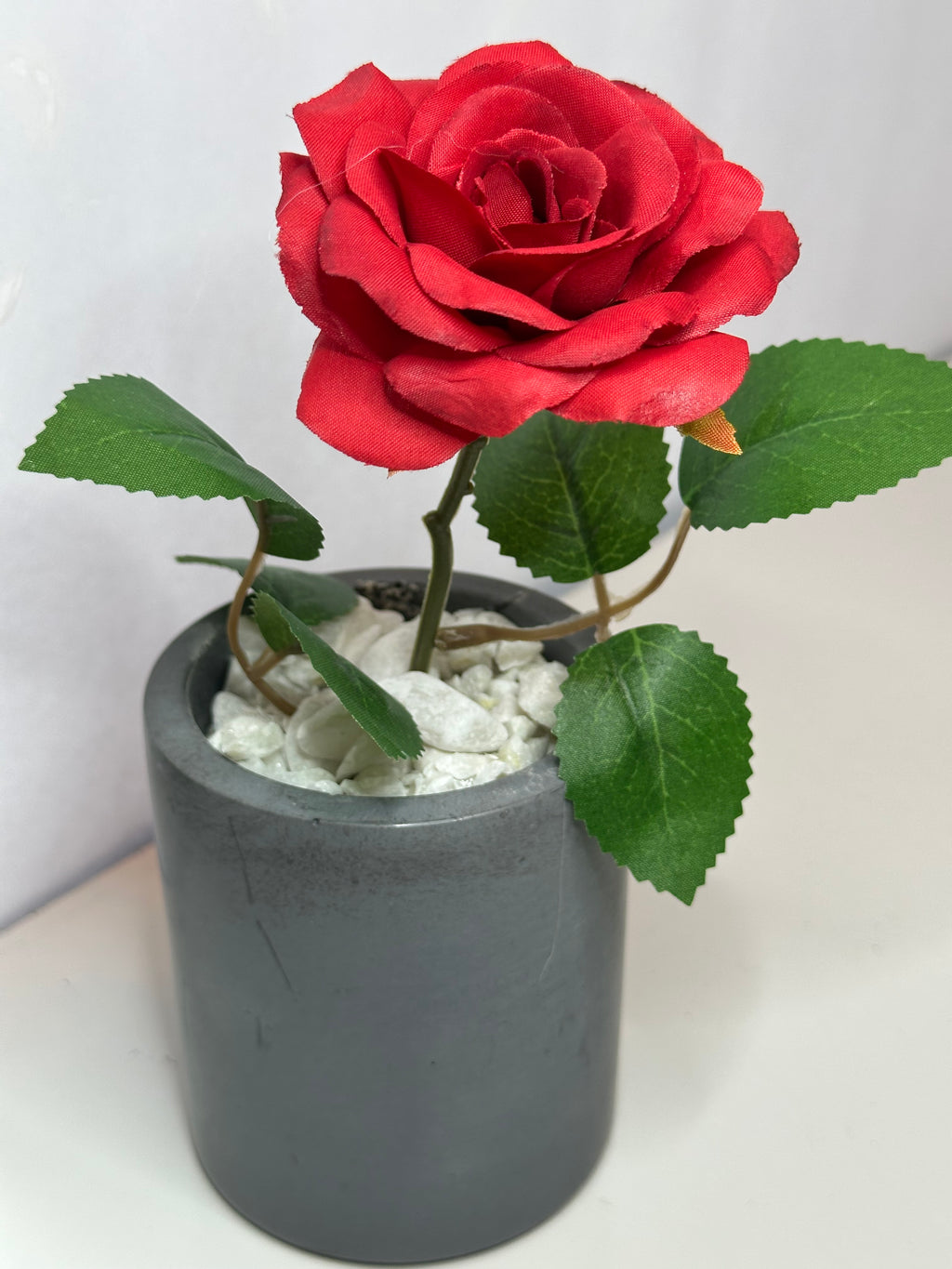 Red Rose